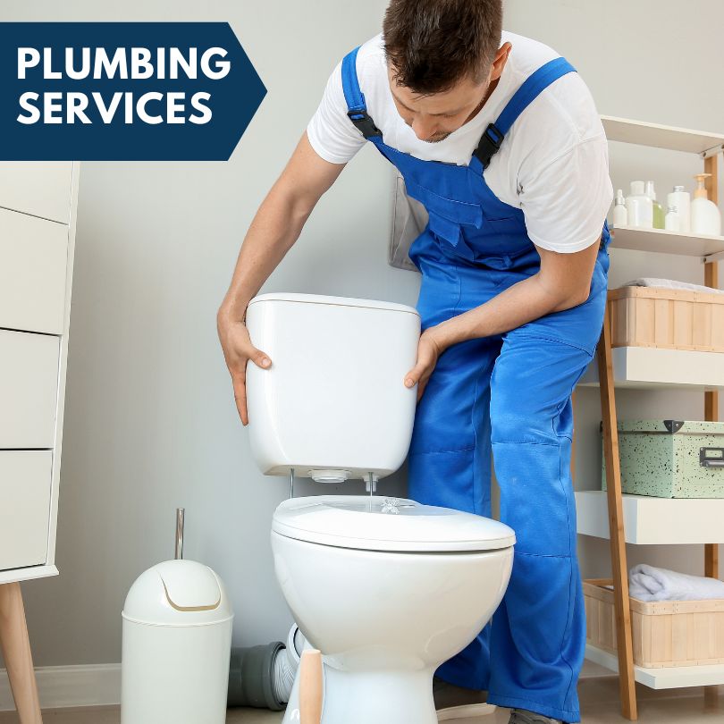 Plumbing Company in Stanley, ID